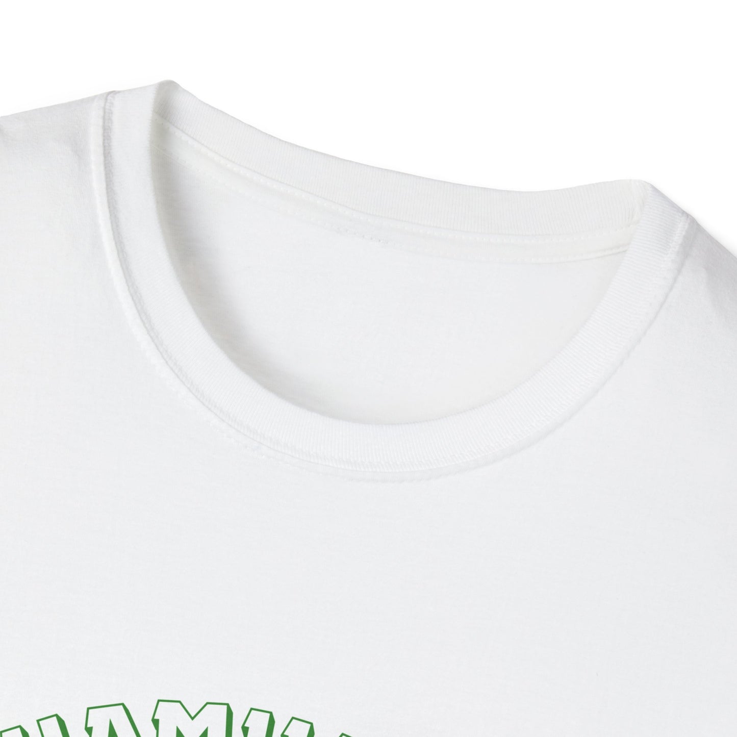 Hamilton Family Reunion 2025 T-Shirt | Unisex Softstyle Tee with Jamaican Roots Design